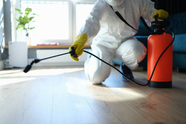Reliable Hoarding Cleanup contractor in Springfield, IL by Trauma Clean Pros